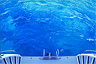 Moments before diving into top scuba waters at Ribbon Reef 3, Australia