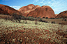 In many ways, Kata Tjuta is more scenic and mystical than Uluru, Australia