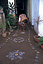 Decorating the entrance for the evening's Kathakali play