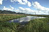 A maze of waterways winds through the floating gardens of Inle Lake