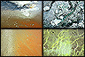 At Wai-O-Tapu near Rotorua, colors are from different minerals in the water (yellow = sulphur, orange = antimony, white = silica, green = colloidal sulphur/ferrous salts), New Zealand