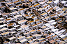 The salt pans at Salinas de Maras have been used for salt extraction since Inca times, Peru