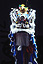 Lion dance for Chinese New Year